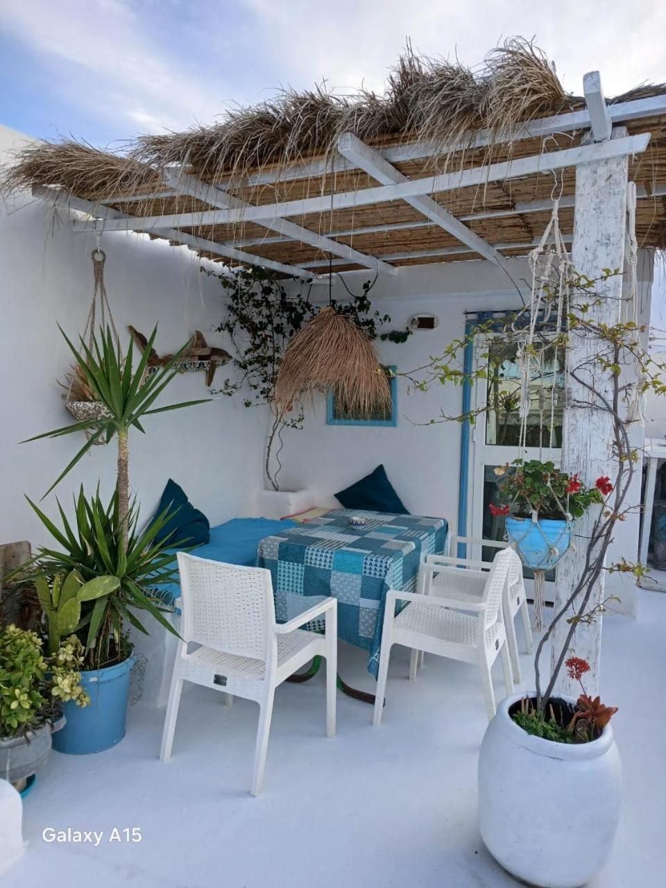 Dar Evelyne By Daldoul Hotell Mahdia Exteriör bild